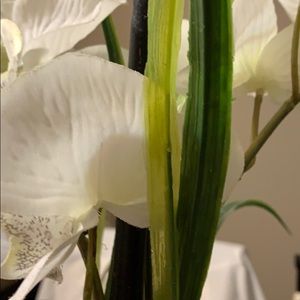 Meet your Posher, Arsenia